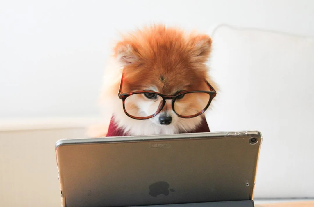 15年经验独游开发者：给游戏新开发者们的4个建议