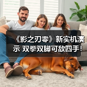《影之刃零》新实机演示 双拳双脚可敌四手！（图2）