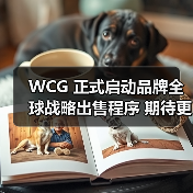 WCG 正式启动品牌全球战略出售程序 期待更广阔的全球舞台（图2）