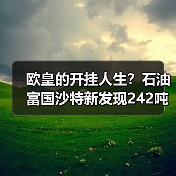 欧皇的开挂人生？石油富国沙特新发现242吨黄金资源！（图2）