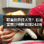 欧皇的开挂人生？石油富国沙特新发现242吨黄金资源！（图3）