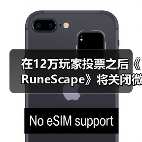 在12万玩家投票之后《RuneScape》将关闭微交易商店（图2）