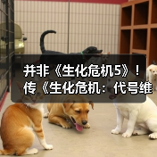 并非《生化危机5》!传《生化危机:代号维罗妮卡》重制版将在今年公布(图3) 并非《生化危机5》!传《生化危机:代号维罗妮卡》重制版将在今年公布(图3)