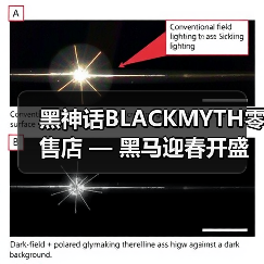 黑神话BLACKMYTH零售店 — 黑马迎春开盛会，万众同乐闹新年（图3）