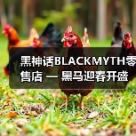 黑神话BLACKMYTH零售店 — 黑马迎春开盛会，万众同乐闹新年（图3）