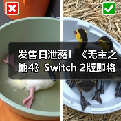 发售日泄露！《无主之地4》Switch 2版即将推出（图2）