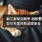 御三家罕见联手 微软索尼任天堂共推游戏安全环境（图4）