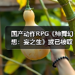 国产动作RPG《神舞幻想：妄之生》或已被取消？真相令人唏嘘（图3）