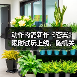 动作肉鸽新作《苍翼》限时试玩上线，随机关卡与角色构建等你挑战？（图4）