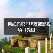 网红偷税216万致影视项目受阻（图1）