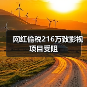 网红偷税216万致影视项目受阻（图3）