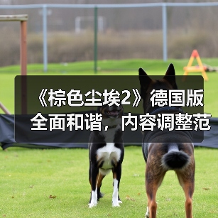 《棕色尘埃2》德国版全面和谐，内容调整范围曝光（图3）