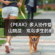 《PEAK》多人协作登山挑战：荒岛求生的巅峰体验（图1）