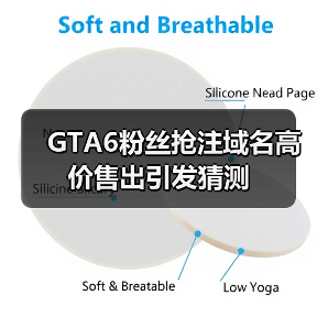 GTA6粉丝抢注域名高价售出引发猜测