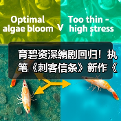 育碧资深编剧回归！执笔《刺客信条》新作《Hexe》
