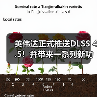 英伟达正式推送DLSS 4.5！并带来一系列新功能更新（图2）