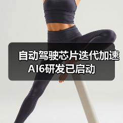 自动驾驶芯片迭代加速 AI6研发已启动（图2）