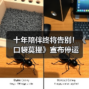 十年陪伴终将告别！《口袋莫提》宣布停运（图2）