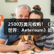 2500万美元收购！《新世界：Aeternum》能否逃脱停运命运？（图3）