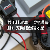 数毛社澄清:《怪猎荒野》支援柜台猫才是“性能杀手”(图2) 数毛社澄清:《怪猎荒野》支援柜台猫才是“性能杀手”(图2)