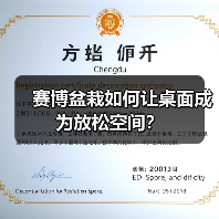 赛博盆栽如何让桌面成为放松空间？（图3）