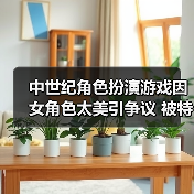 中世纪角色扮演游戏因女角色太美引争议 被特殊群体抵制(图1) 中世纪角色扮演游戏因女角色太美引争议 被特殊群体抵制(图1)