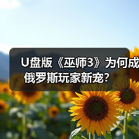 U盘版《巫师3》为何成俄罗斯玩家新宠？（图2）
