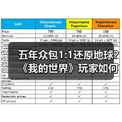 五年众包1:1还原地球？《我的世界》玩家如何打造虚拟奇迹（图3）