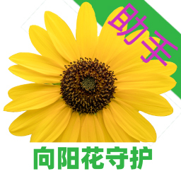 向阳花守护助手